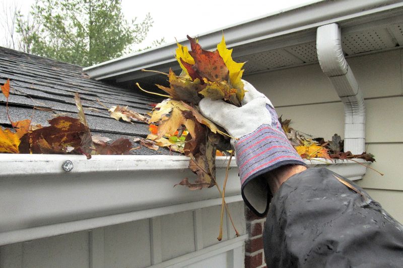 Gutter with Leaf Guard